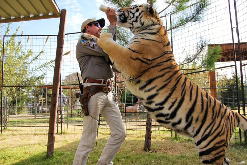 Netflix Tiger King Special Episode 8 Release Info joe exotic carole baskin joel mchale jeff lowe