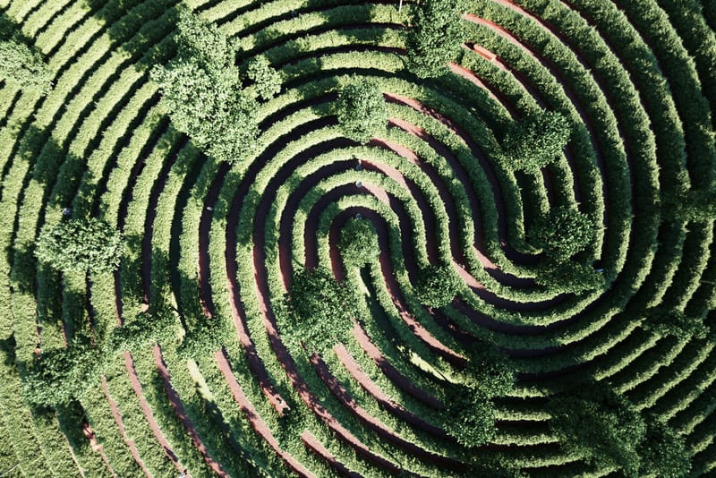 Precht Designs Maze-Like Park for Outdoor Social Distancing