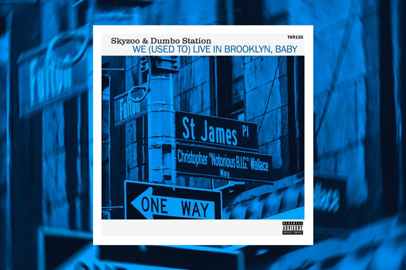 Skyzoo Dumbo Station We Used To Live In Brooklyn Baby Single Stream the bluest note
