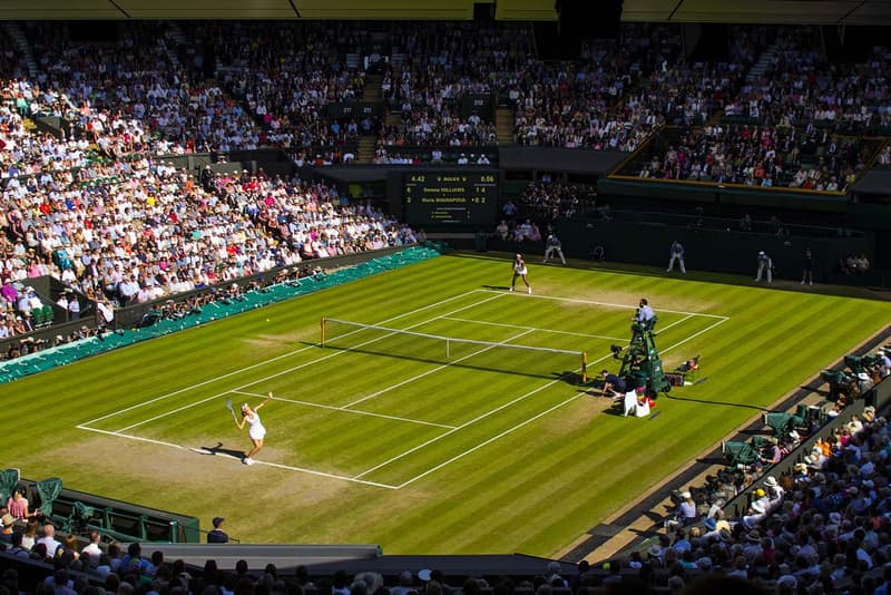 wimbledon tennis championships canceled coronavirus pandemic covid19 covid 19 first time cancel since world war ii