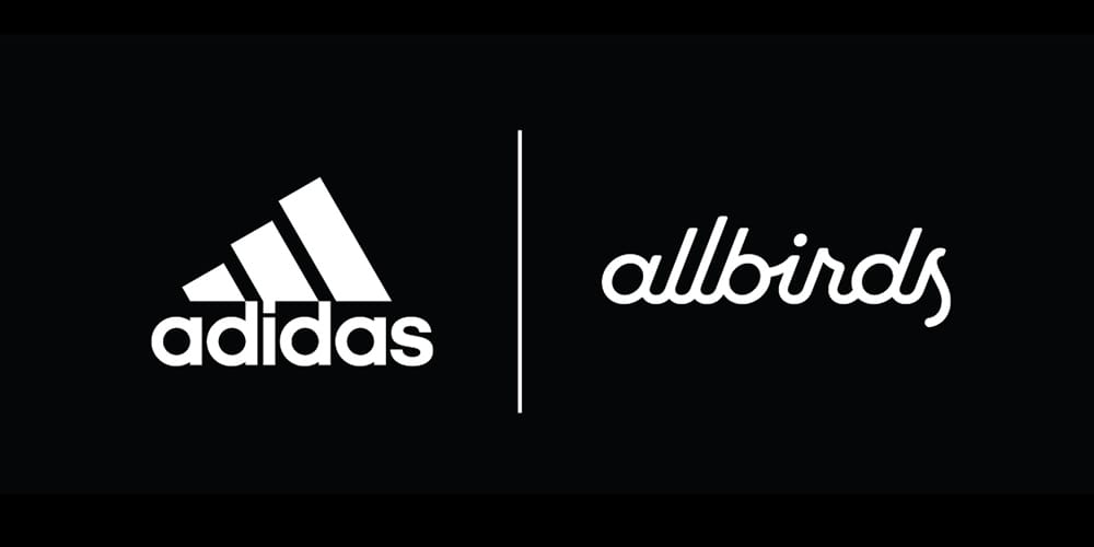 allbirds brand