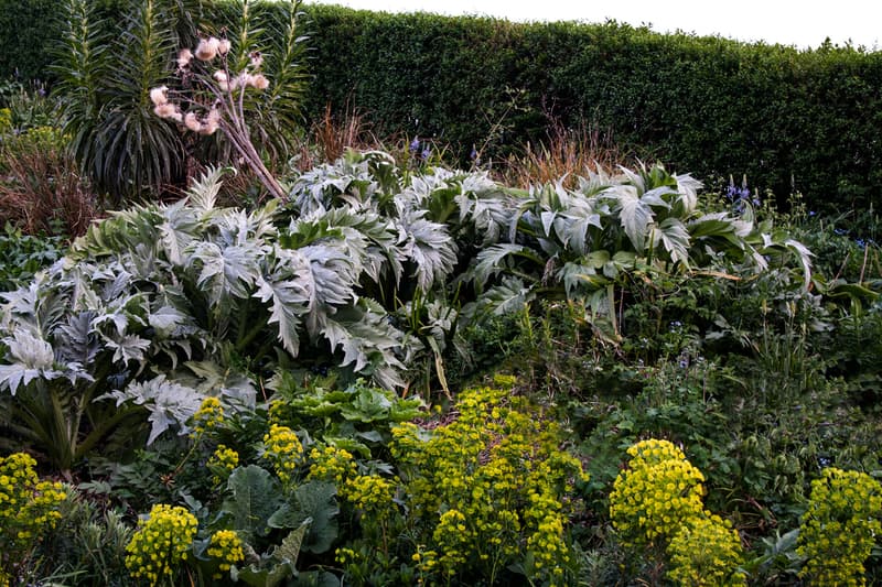 alexander mcqueen creators series nature photography photos pictures sarah burton creative director