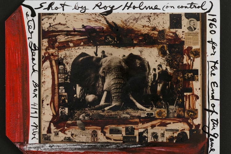 Artnet Auctions Launches Sale of Peter Beard Artworks