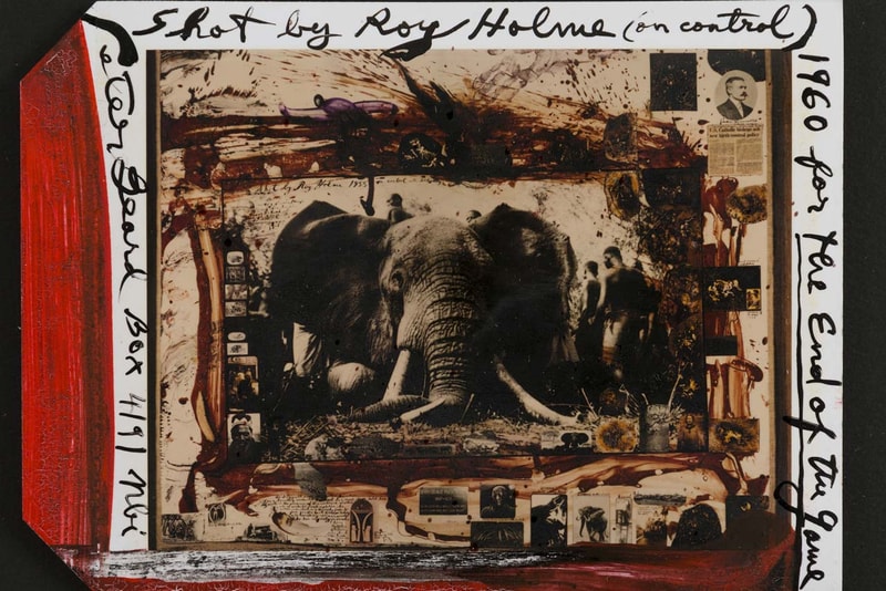 artnet auctions peter beard archival sale art works african wildlife photography 