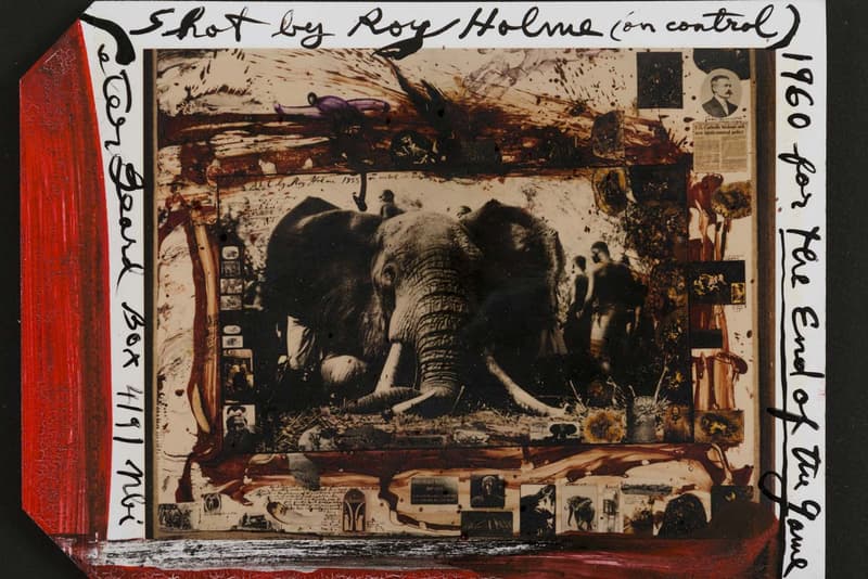 artnet auctions peter beard archival sale art works african wildlife photography
