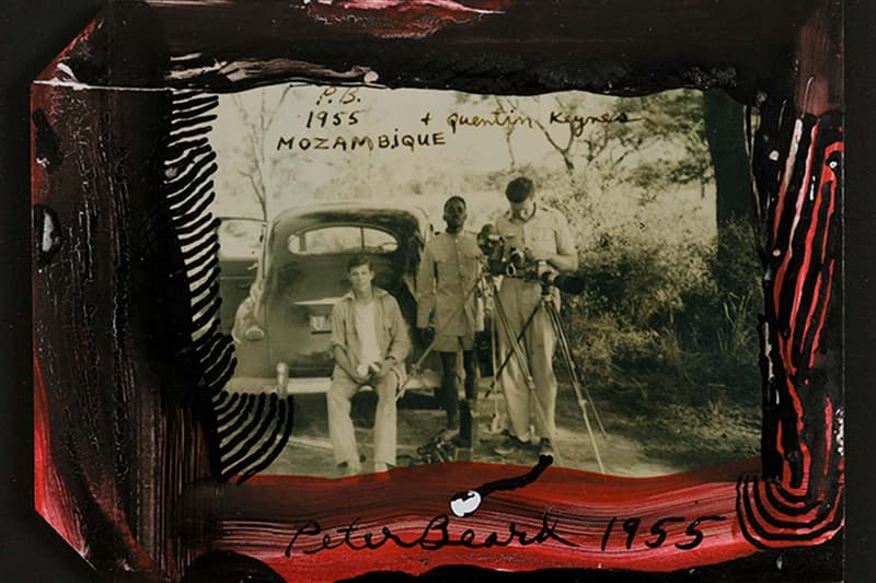 artnet auctions peter beard archival sale art works african wildlife photography
