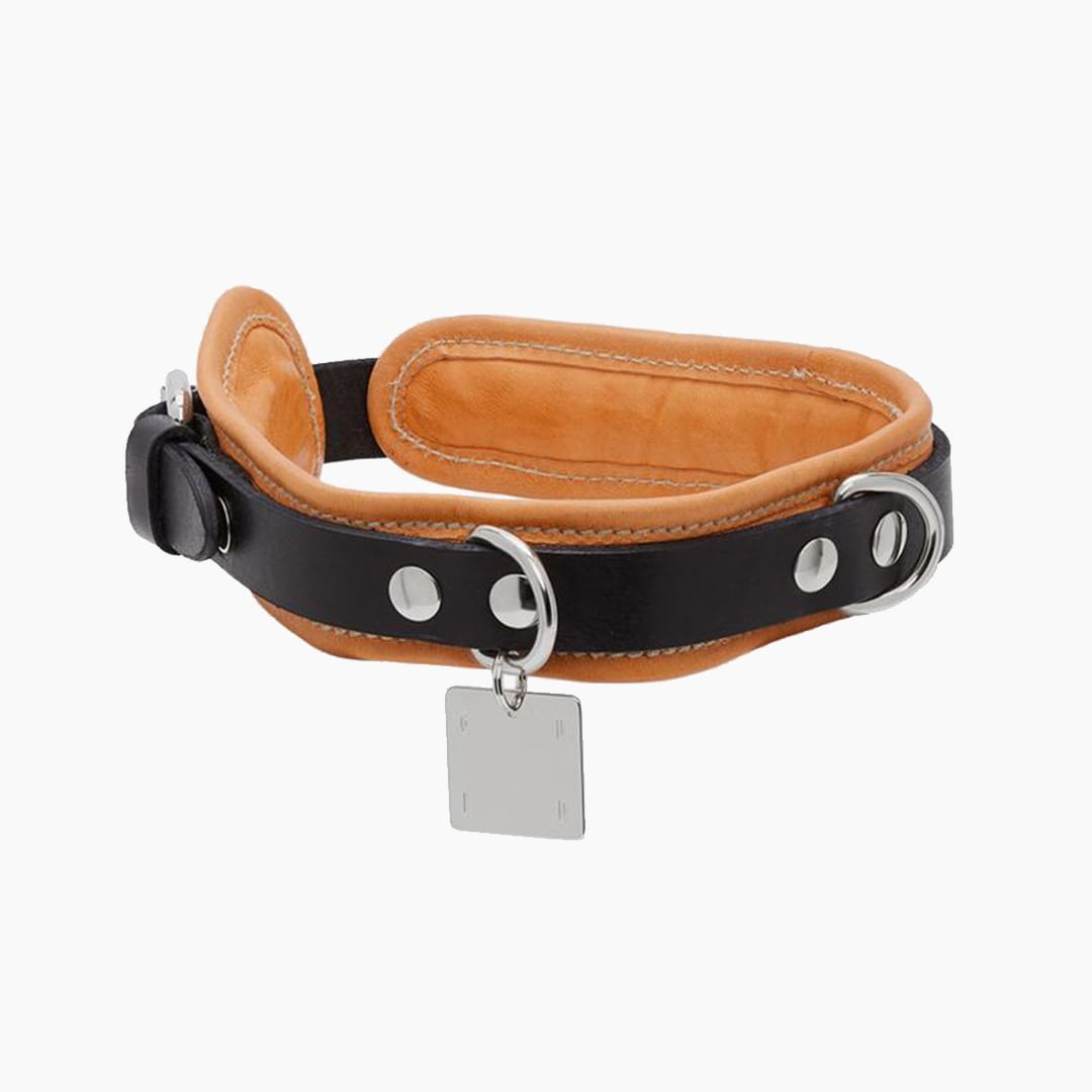 hypebeast dog collar