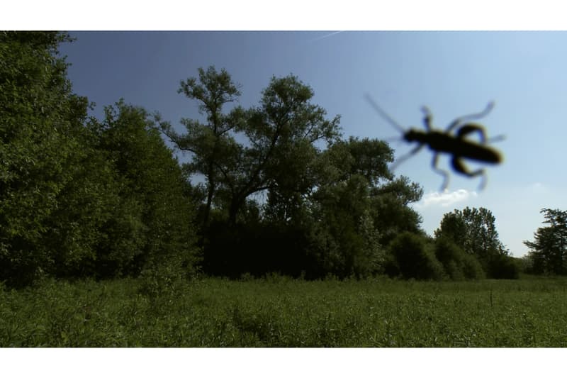 gagosian Broadcast: Alternate Meanings in Film and Video online exhibition