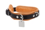 Guidi Releases a Premium Leather Dog Collar