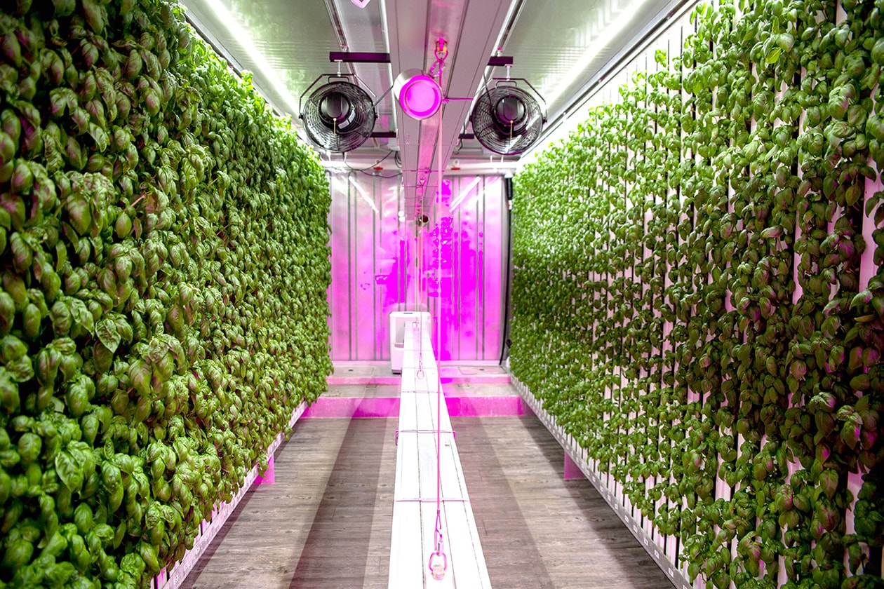 Indoor Farming Sustainable Food Vertical Technology Hydroponic Agriculture Farmshelf Square Roots Space10 Ikea