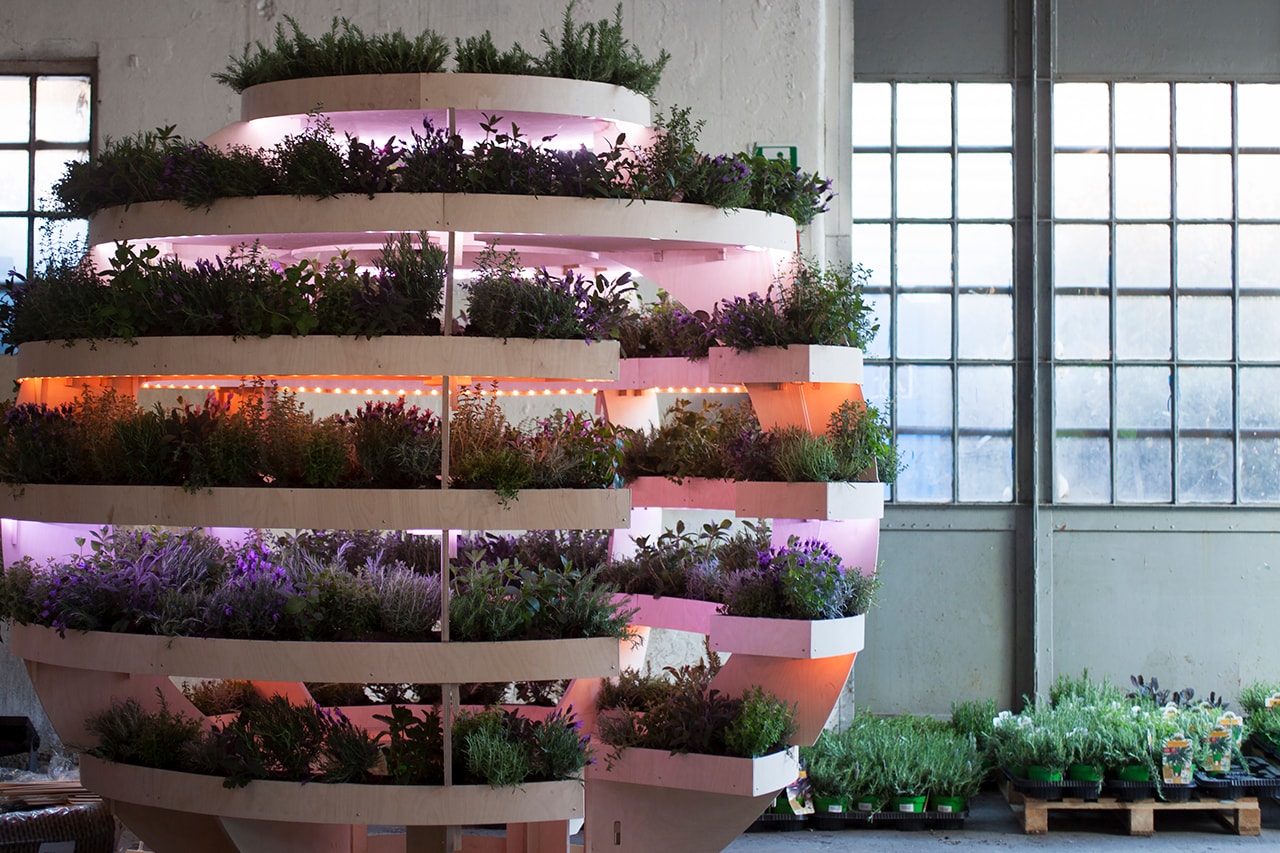 Indoor Farming Sustainable Food Vertical Technology Hydroponic Agriculture Farmshelf Square Roots Space10 Ikea