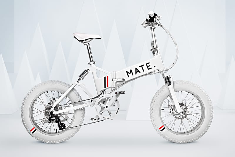 mate x bike price