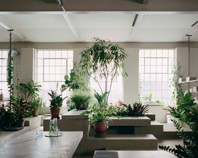 PSLab's New London Studio Designed by JamesPlumb