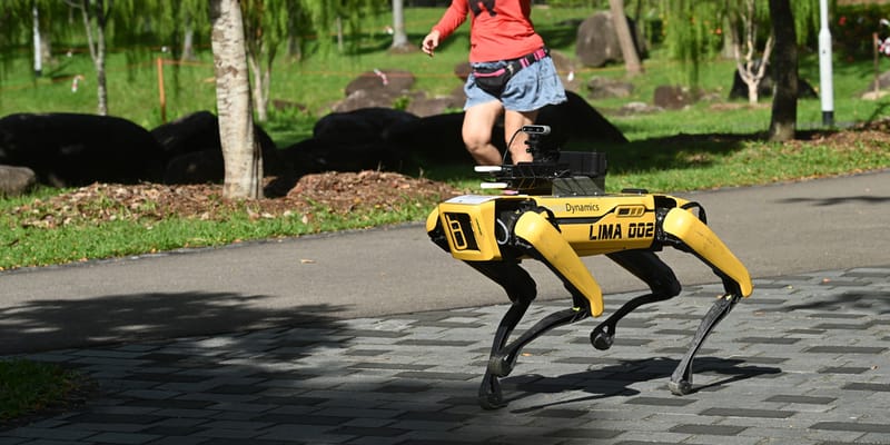 boston dynamics robot dog running