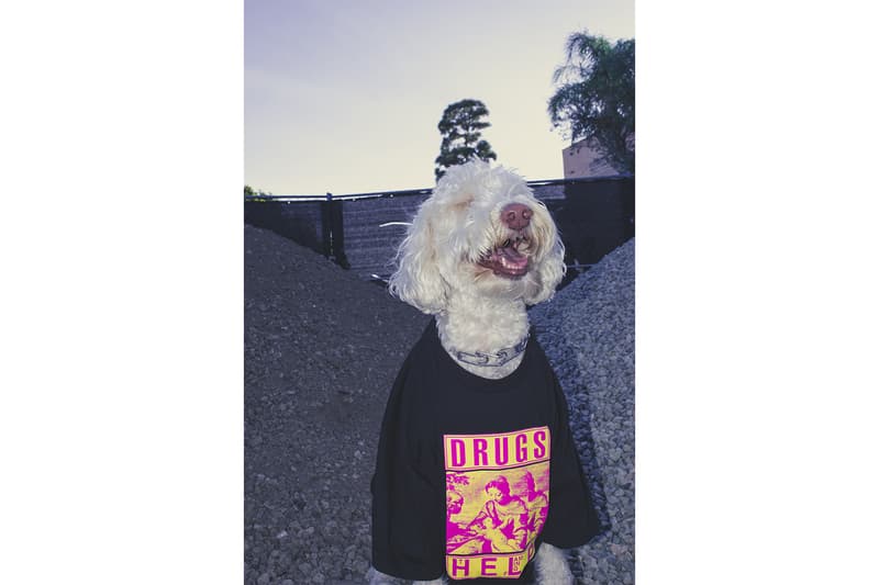 The Flaming Lips PLEASURES Capsule Release T shirt Hoodie Info Buy Price