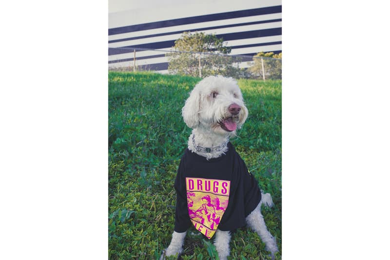 The Flaming Lips PLEASURES Capsule Release T shirt Hoodie Info Buy Price