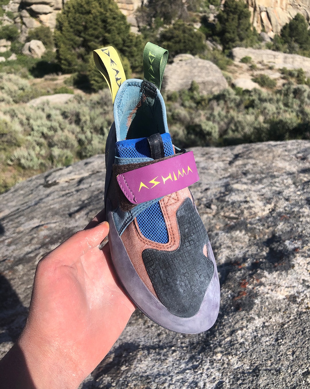 brain dead evolv zenist rock climbing shoe charity donation brown blue purple green yellow official release date info photos price store list buying guide