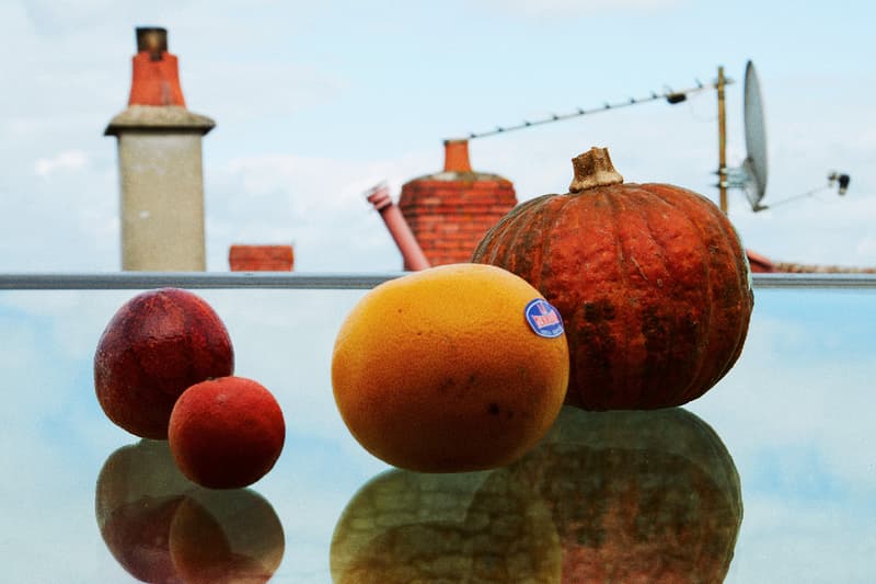 florent tanet artist french a picnic on my velux arts photography quarentine