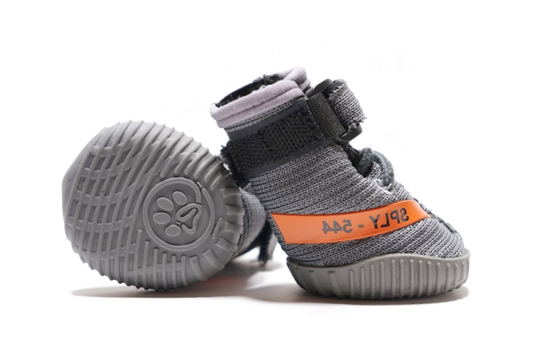 Your Dog Can Now Wear YEEZY-Inspired Sneakers