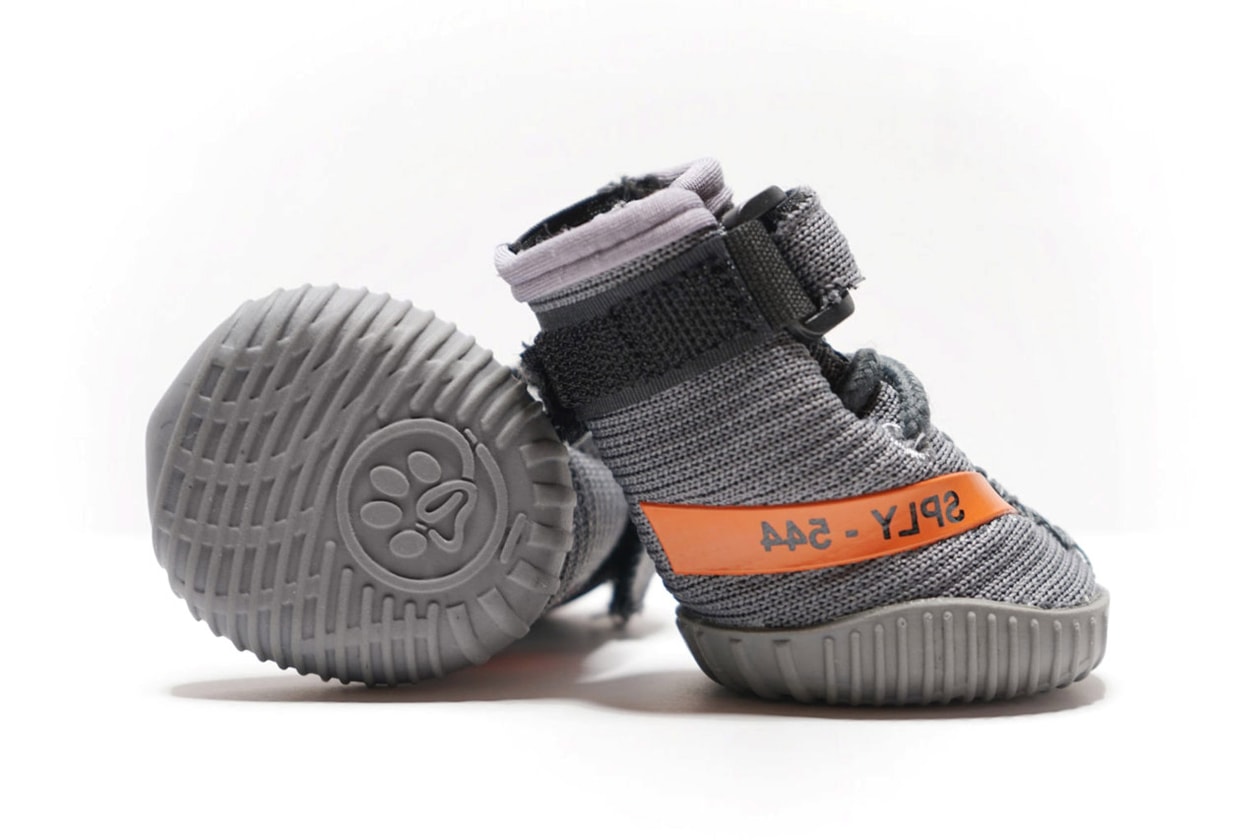 Fresh Pawz Beluga 544 Dog Sneaker Launch Orange Gray 