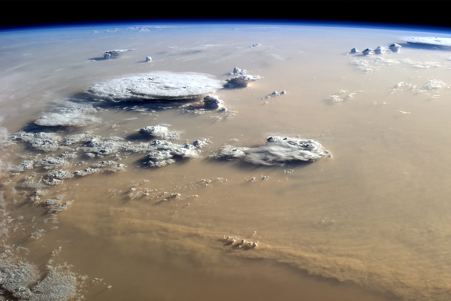 Огромное облако пыли из Сахары в стиле «Годзиллы» обрушилось на побережье Мексиканского залива США 