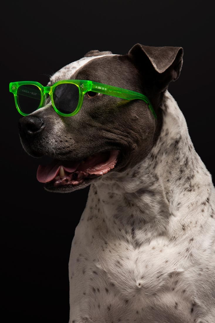 HUF x AKILA Drops Limited Edition Sunglasses frames dogs summer 