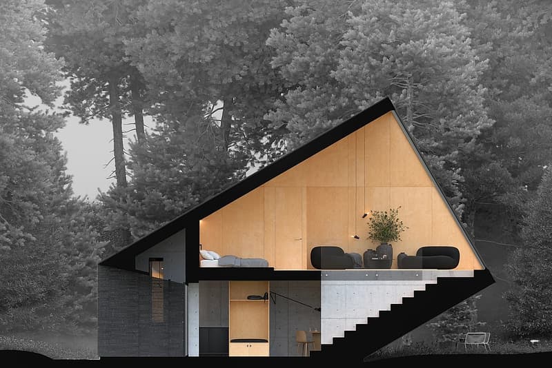 Line Design Studio "Pine House" Concept Design baltic sea russia