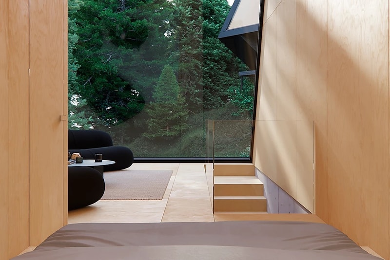 Line Design Studio "Pine House" Concept Design baltic sea russia