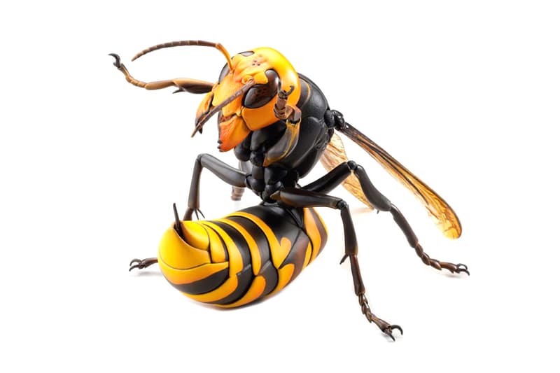 RevoGeo KAIYODO Giant Hornet Figure  Murder Hornet toys collectibles big bad toy store Wasps Bees inspects plastic toys 