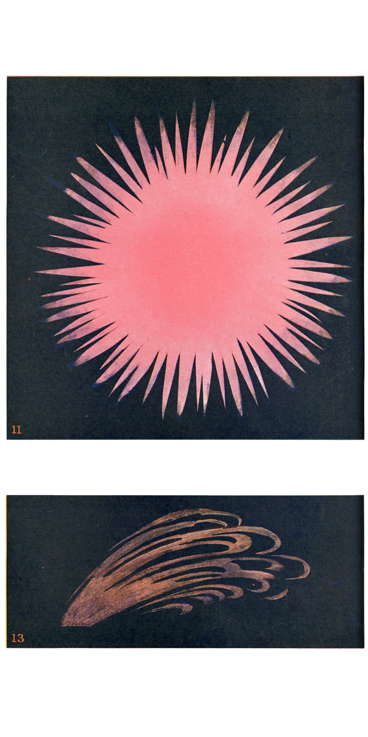 Sacred Bones Thought-Forms: A Record of Clairvoyant Investigation Occult Book Theosophical Illustrations 1905 Annie Besant Charles W. Leadbeater