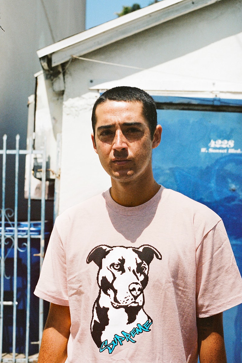 Supreme Summer 2020 t-shirt tees closer look first motion logo box dog frog takashi miike ichi the killer release information buy cop purchase details
