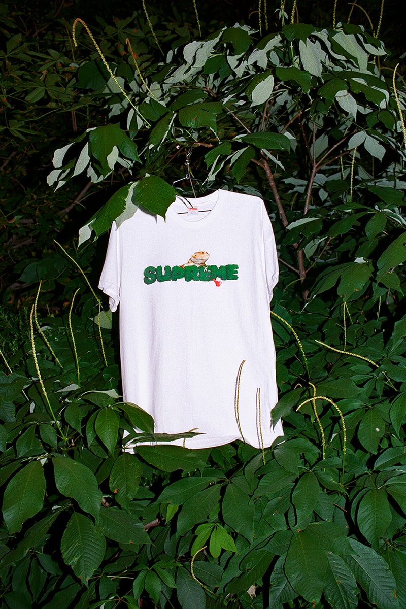 Supreme Summer 2020 t-shirt tees closer look first motion logo box dog frog takashi miike ichi the killer release information buy cop purchase details