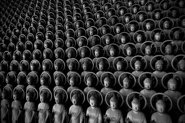 Apple Unveils Winners of 2020 iPhone Photography Awards