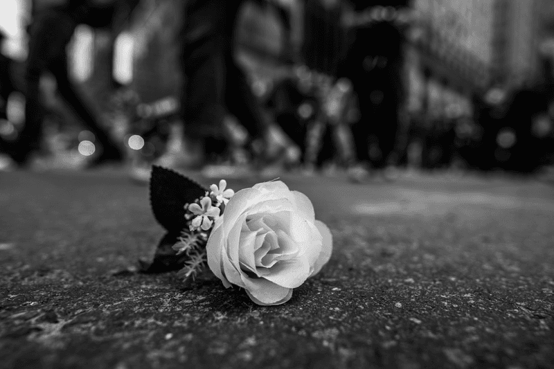 compound gallery the art of protest virtual exhibition photography