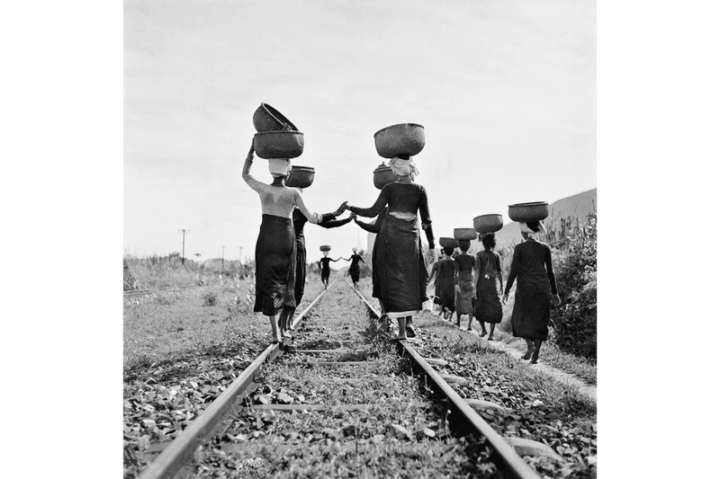 magnum photos solidarity print sale black lives matter naacp photography photos