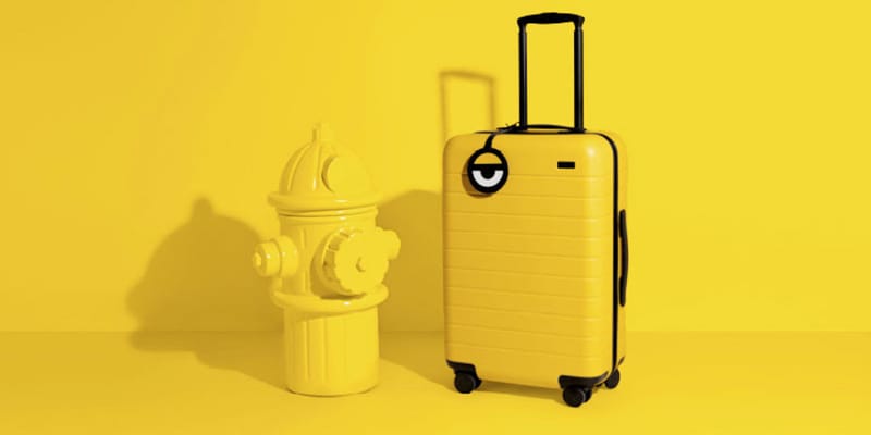 minions suitcase hard