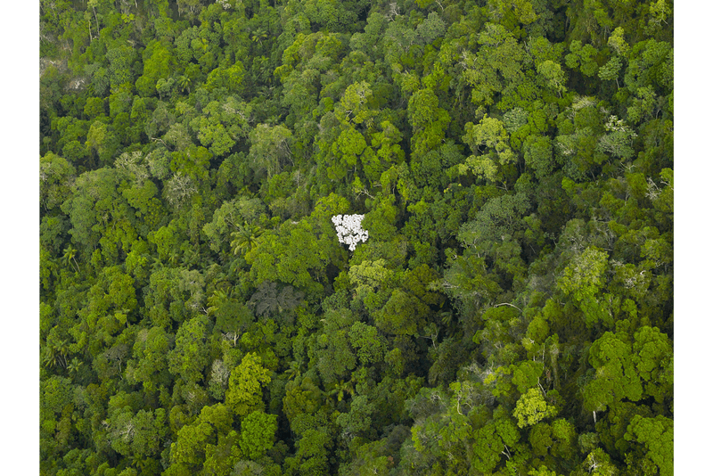 rainforest foundation unity artists charity wolfgang tillmans tacita dean photography paintings artworks