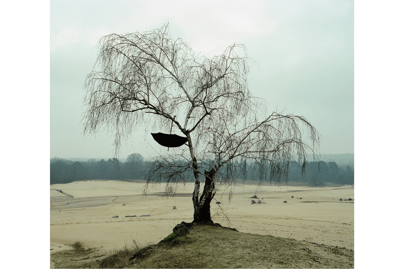rainforest foundation unity artists charity wolfgang tillmans tacita dean photography paintings artworks