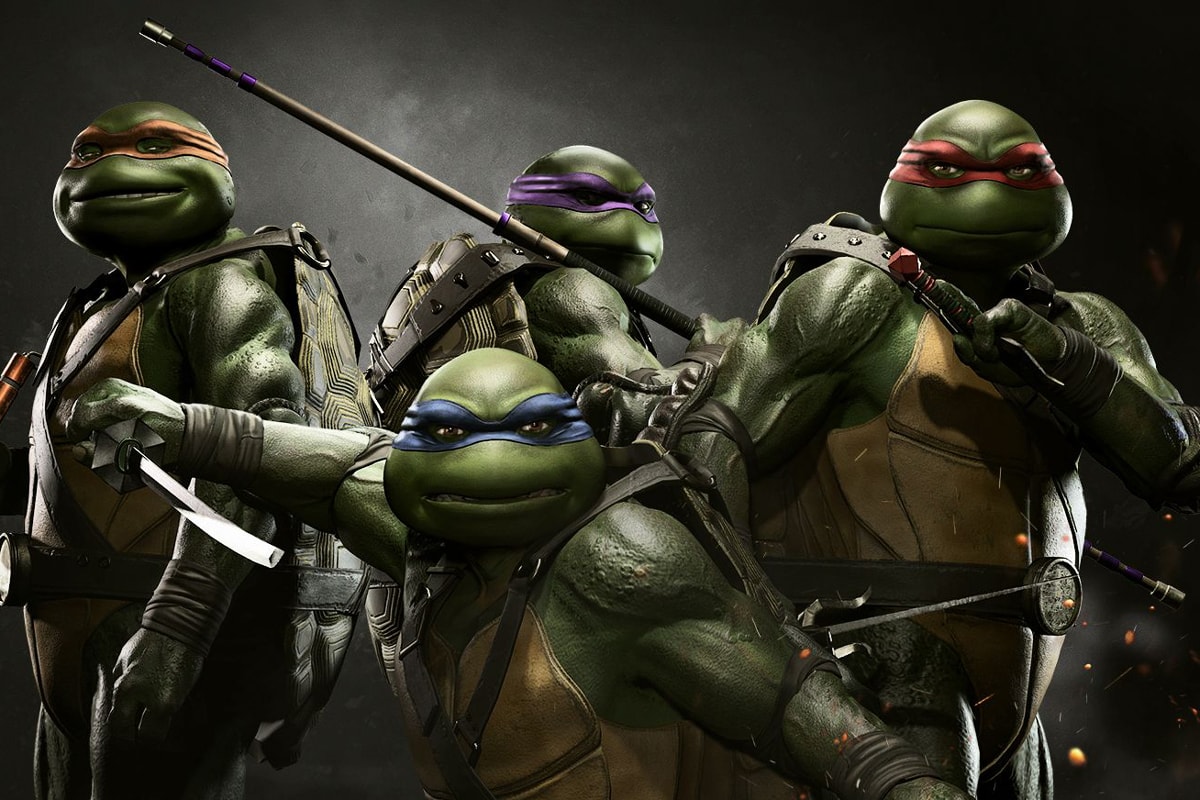 Seth Rogen The Teenage Mutant Ninja Turtles Movie