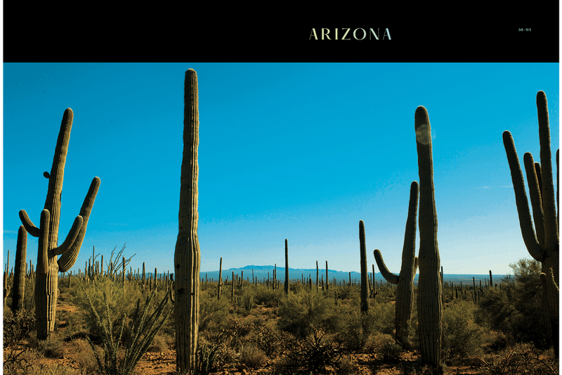 'SHEREN' Art Book by Cleon Grey, Adrienne Raquel photography design layout hardcover new mexico order