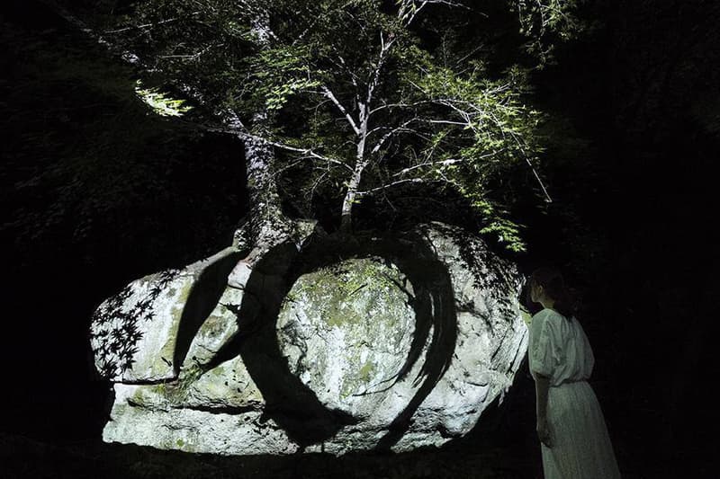 teamLab Annual Outdoor Exhibition in Japan Kyushu Forest of Mifuneyama "A Forest Where Gods Live" digital projections installations garden