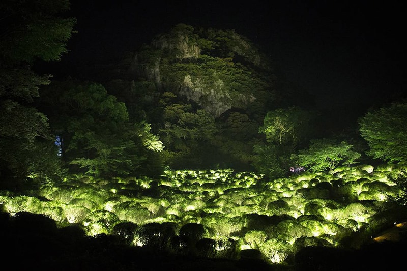teamLab Annual Outdoor Exhibition in Japan Kyushu Forest of Mifuneyama "A Forest Where Gods Live" digital projections installations garden