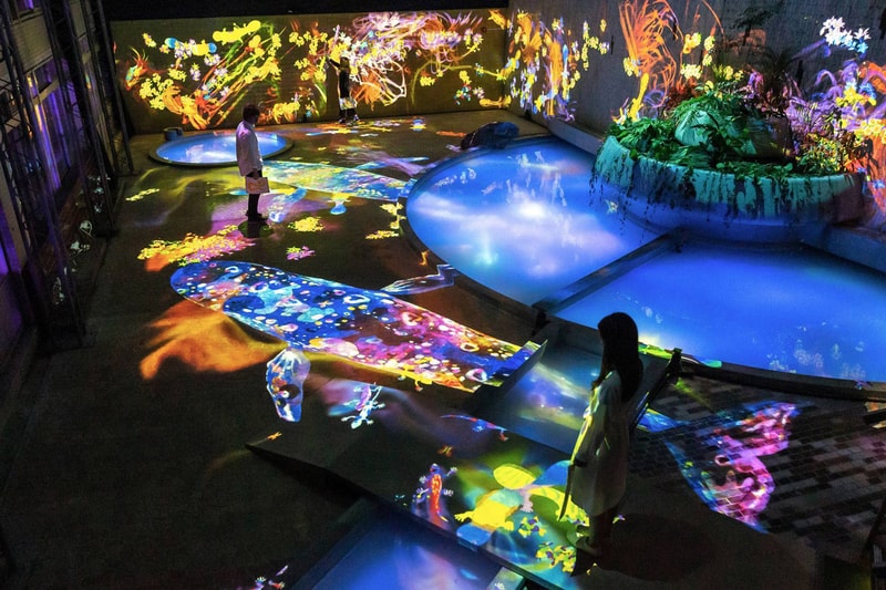 teamLab Annual Outdoor Exhibition in Japan Kyushu Forest of Mifuneyama "A Forest Where Gods Live" digital projections installations garden