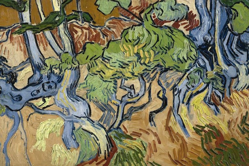 A Postcard Reveals Exact Spot of Vincent van Gogh's Final Painting