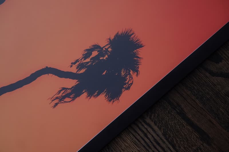 Will Nichols Palm Trees and Basketball Photography Series Venice Beach Los Angeles California HYPEBEAST New Art Artwork Artworks Film Digital Clippers Sports