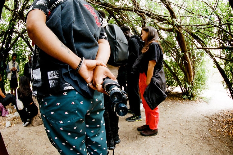 All the Gear You’ll Need for Birdwatching in the City