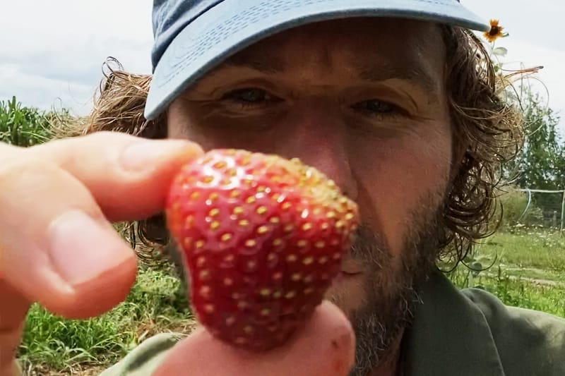 How to Make Strawberry Jam With Dan Colen of Sky High Farm