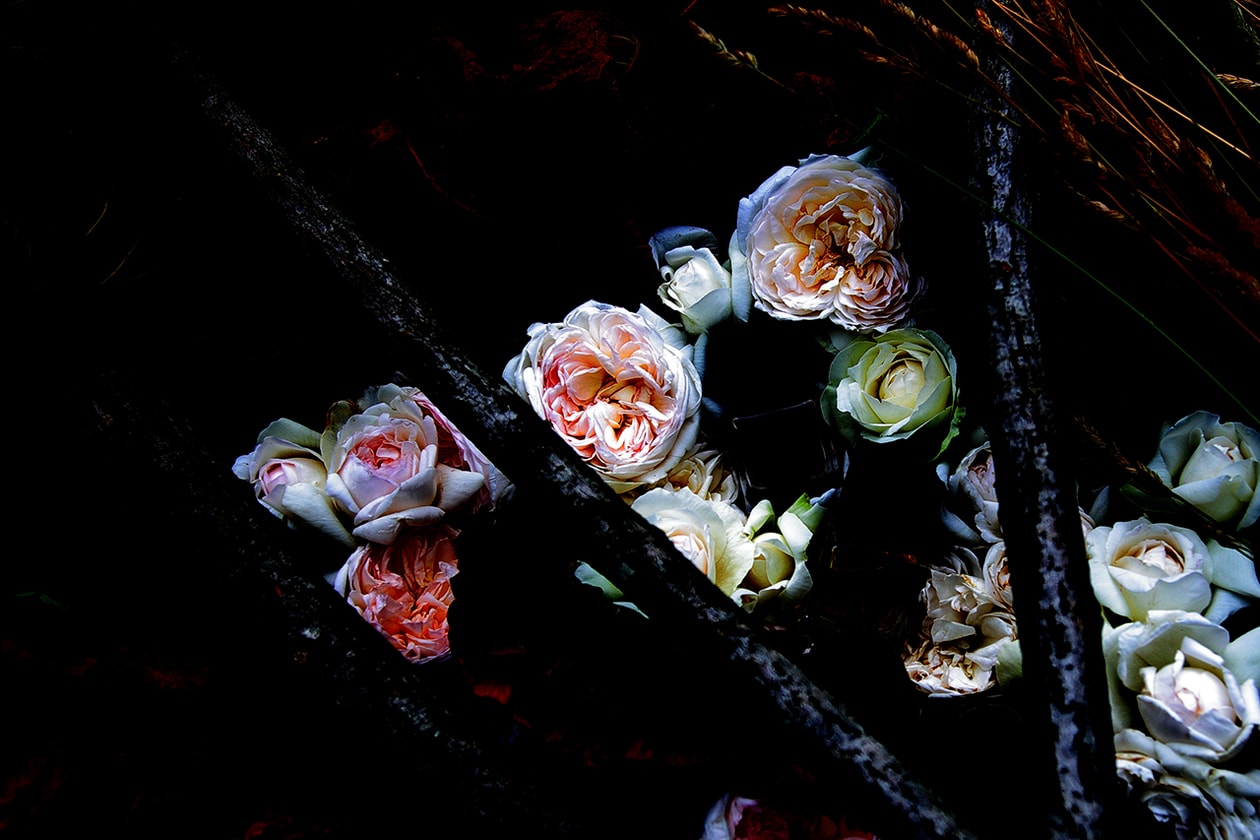 di ser niche perfume fragrance scent eau de parfum extrait japan hokkaido sapporo kyara tsuki keman oud agarwood rose natural botanics 