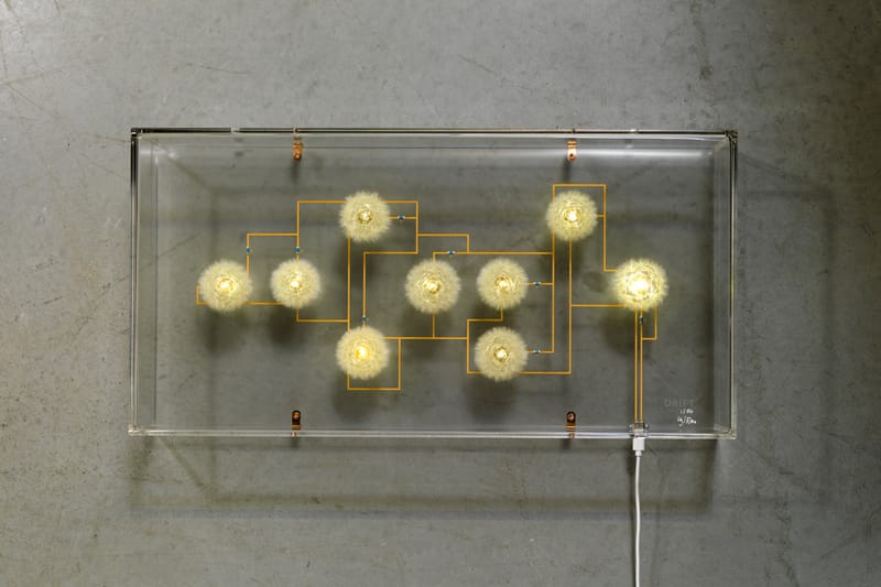 This Light Sculpture by DRIFT Is Made of Real Dandelion Seeds