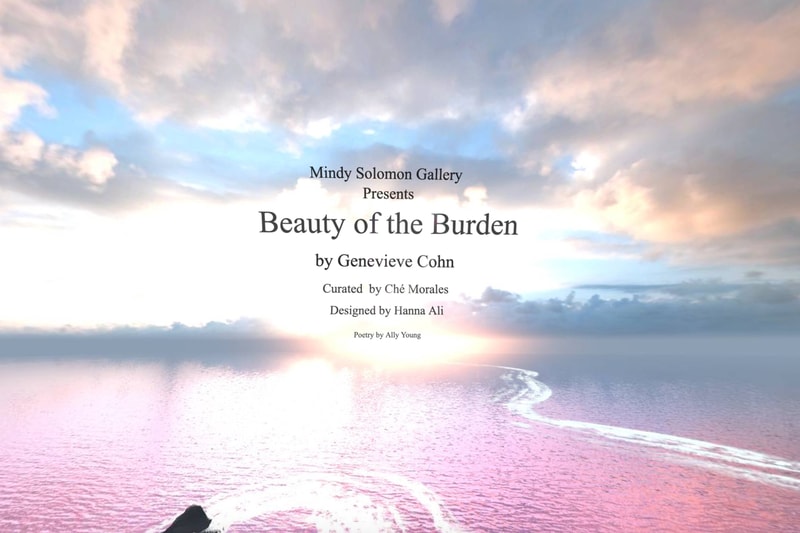 genevieve cohn beauty of the burden mindy solomon gallery virtual exhibition 